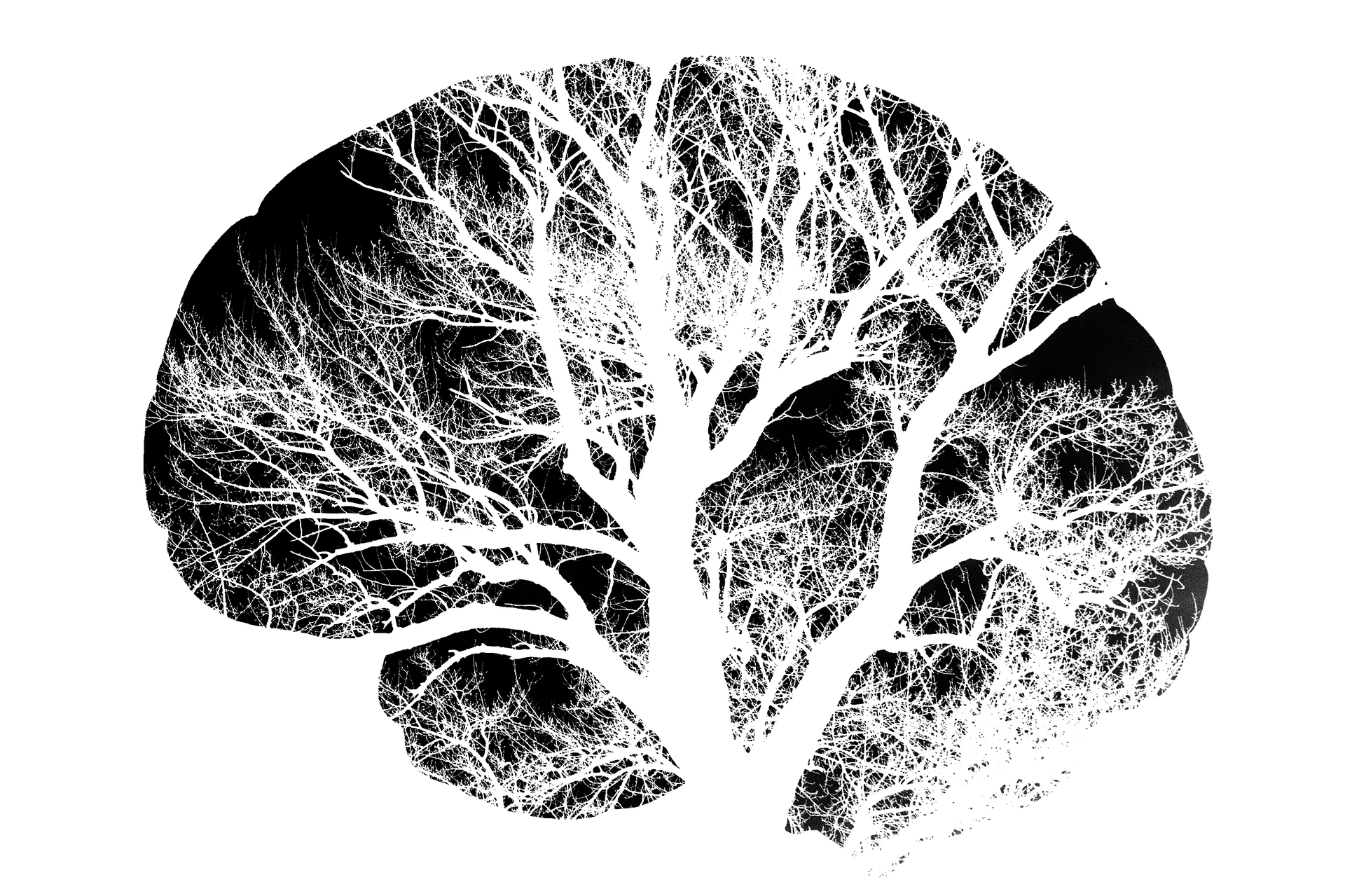 The Correlation Between Mold and Dementia