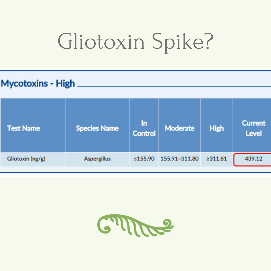 What Causes a Spike in Gliotoxin from Mold? Key Insights and Solutions