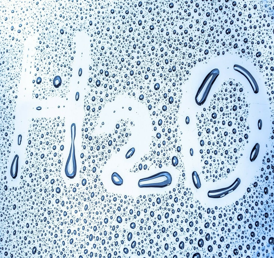 How Much & How Quickly Can Mold Grow From Water Damage