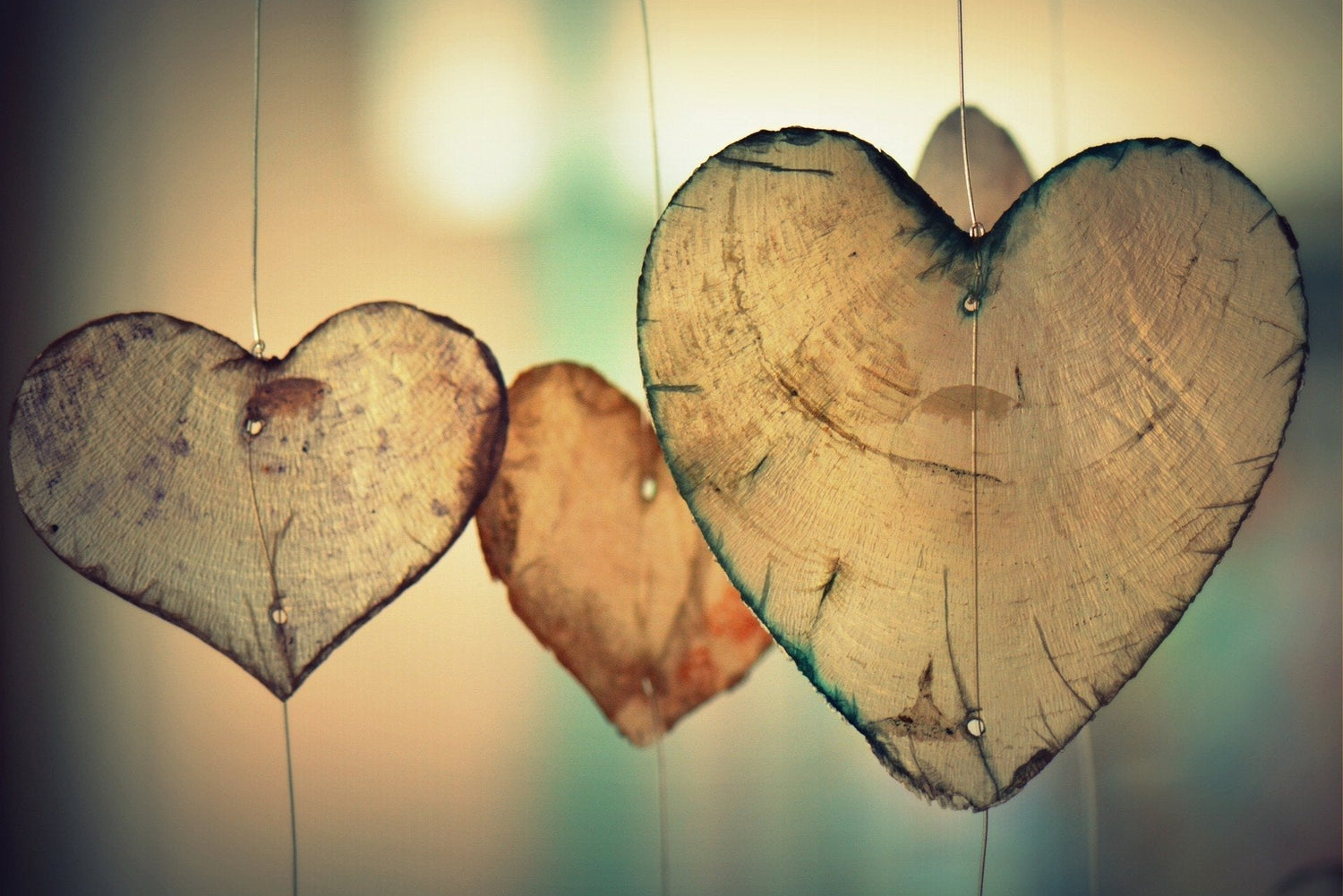 Can Mold Cause Heart Problems, Like Myocarditis?