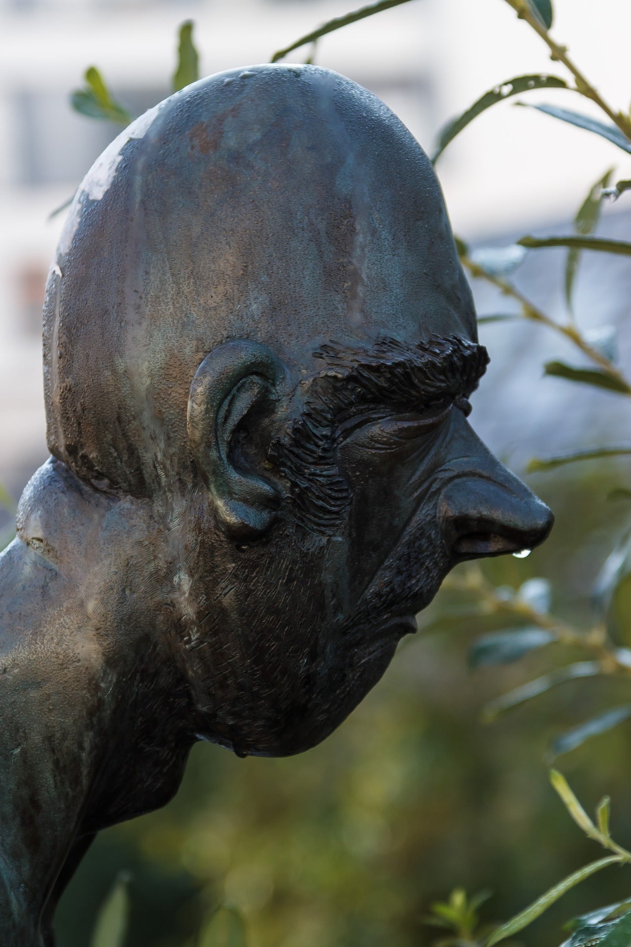 Sinus and Mold Exposure: Restore Sinus Health For Recovery