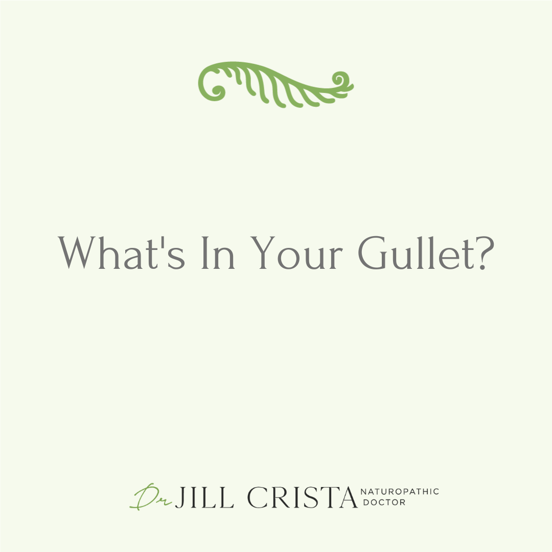 Mycotoxins in Your Esophagus Can Be Causing Problems