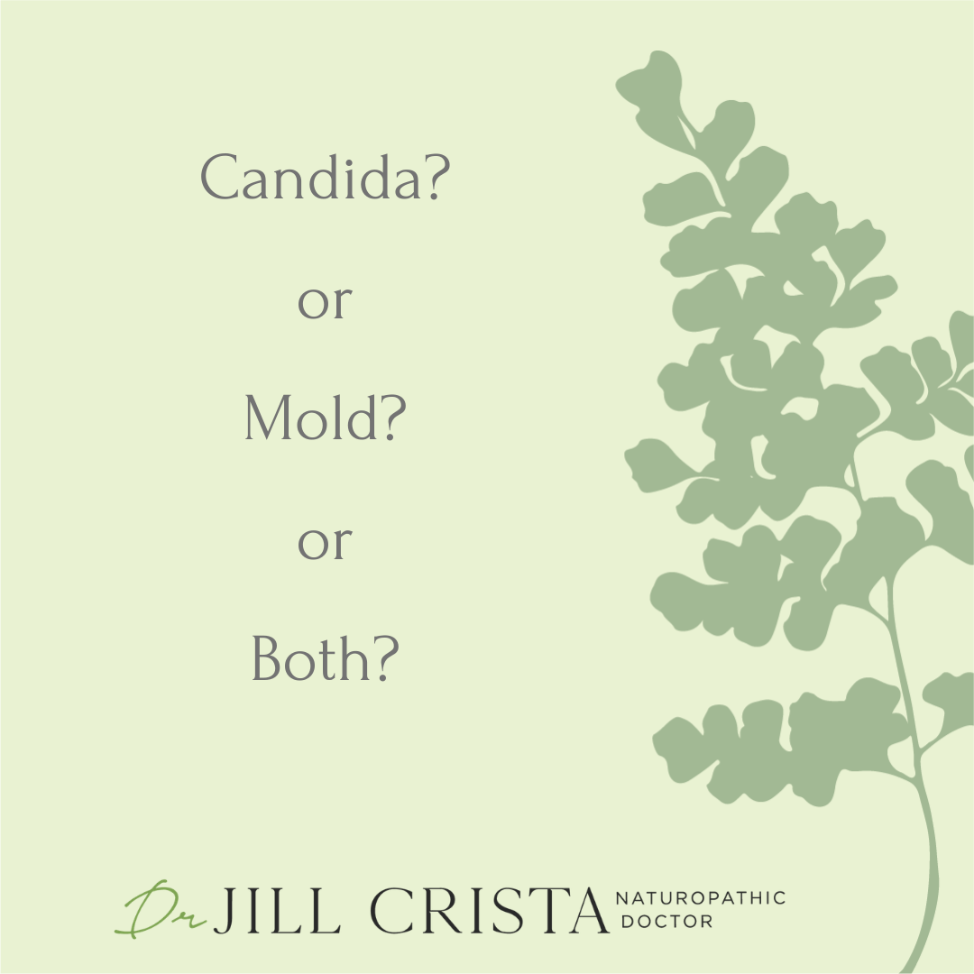 Does Mold Exposure Cause Candida or Mold Colonization?