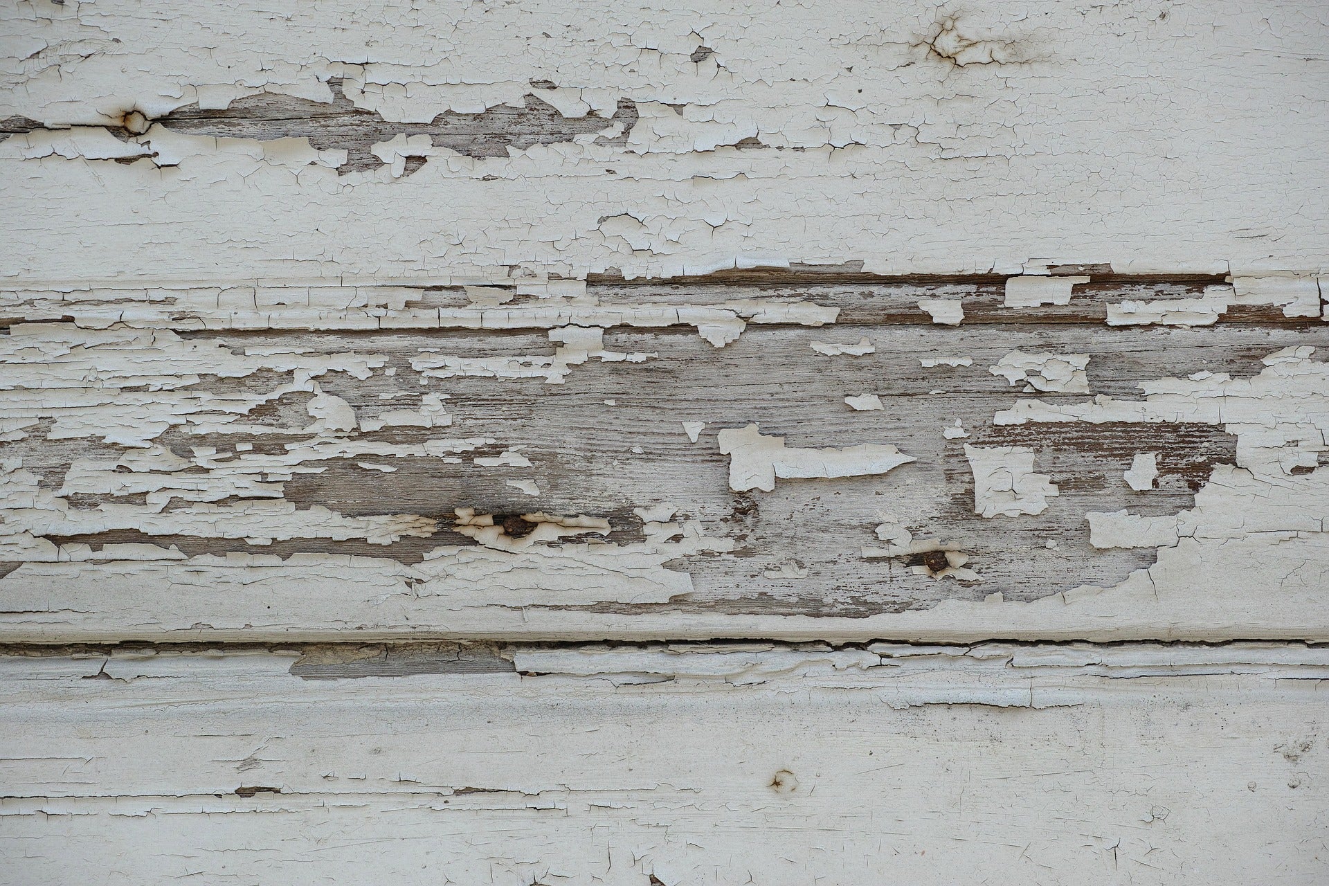 Can You Paint Over Mold To Eliminate It?