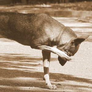 Itching Can Be a Sign of Mold Exposure