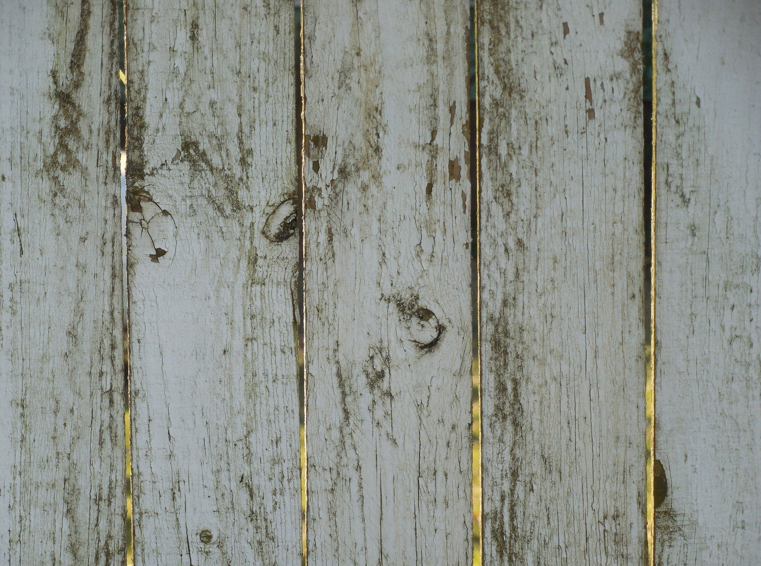 Why Painting to Seal Mold Is Not Effective