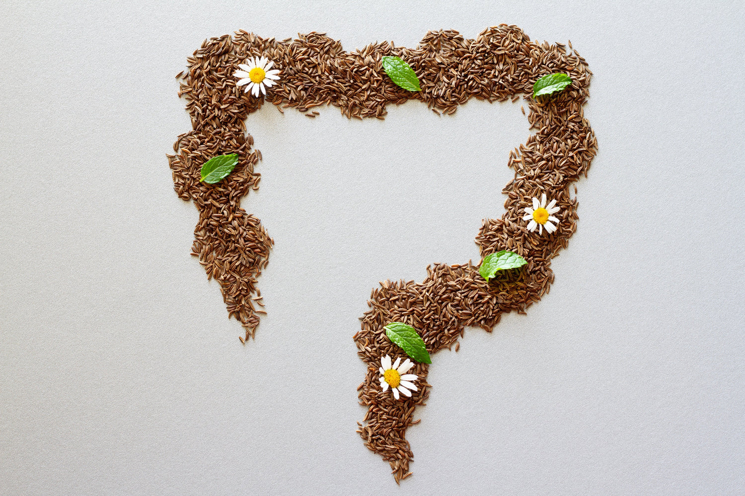 What Exactly Are We Binding in Mold Illness?