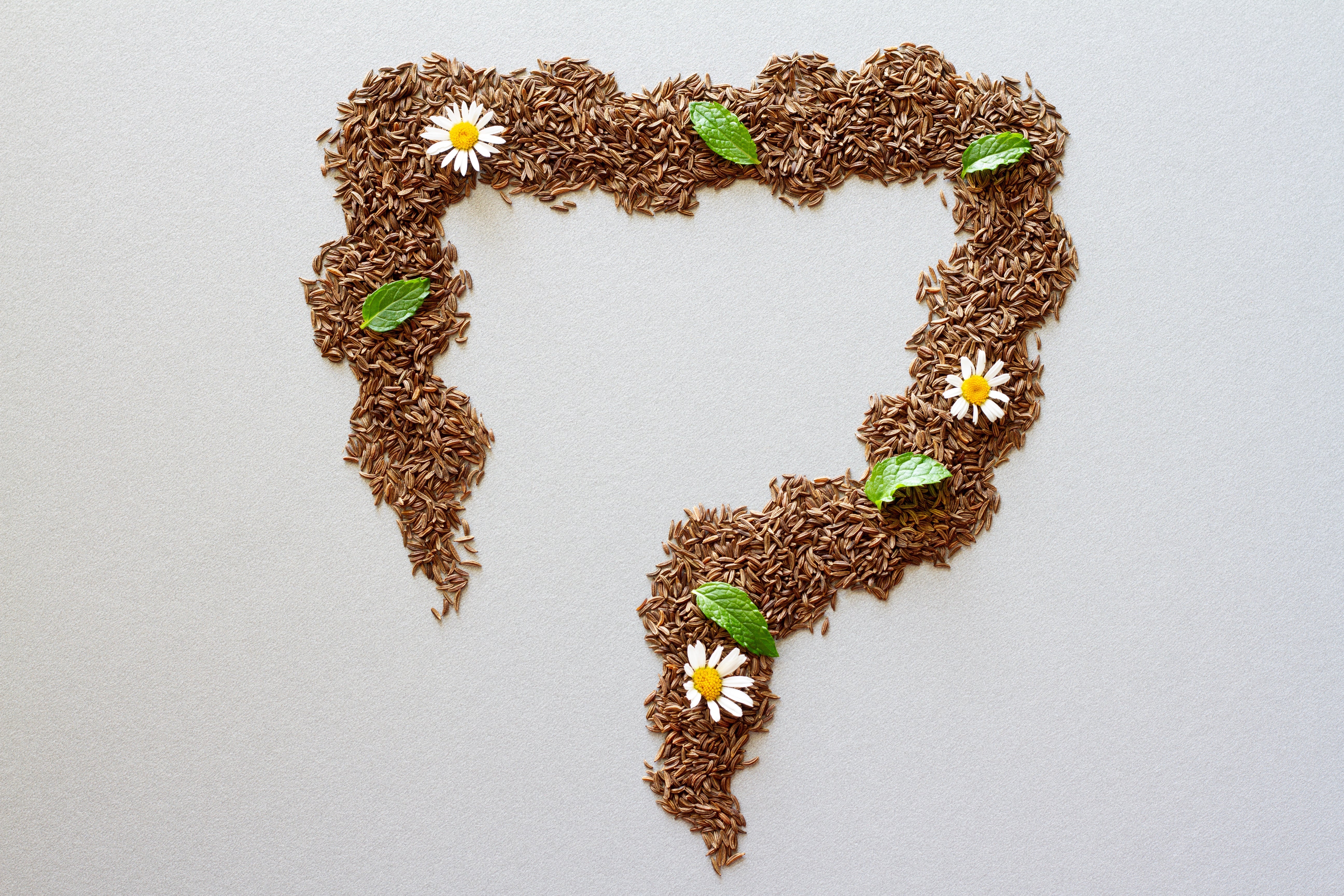 What Exactly Are We Binding in Mold Illness?