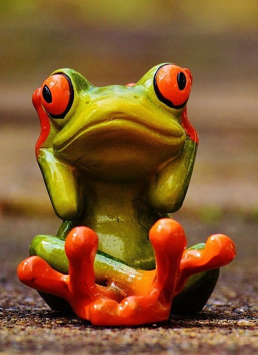 How Is Ear Ringing Connected To Mold?