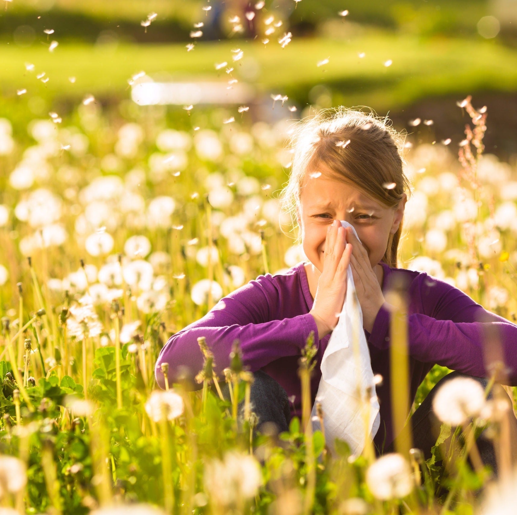 What Causes Springtime Allergies? It Could Be Mold!