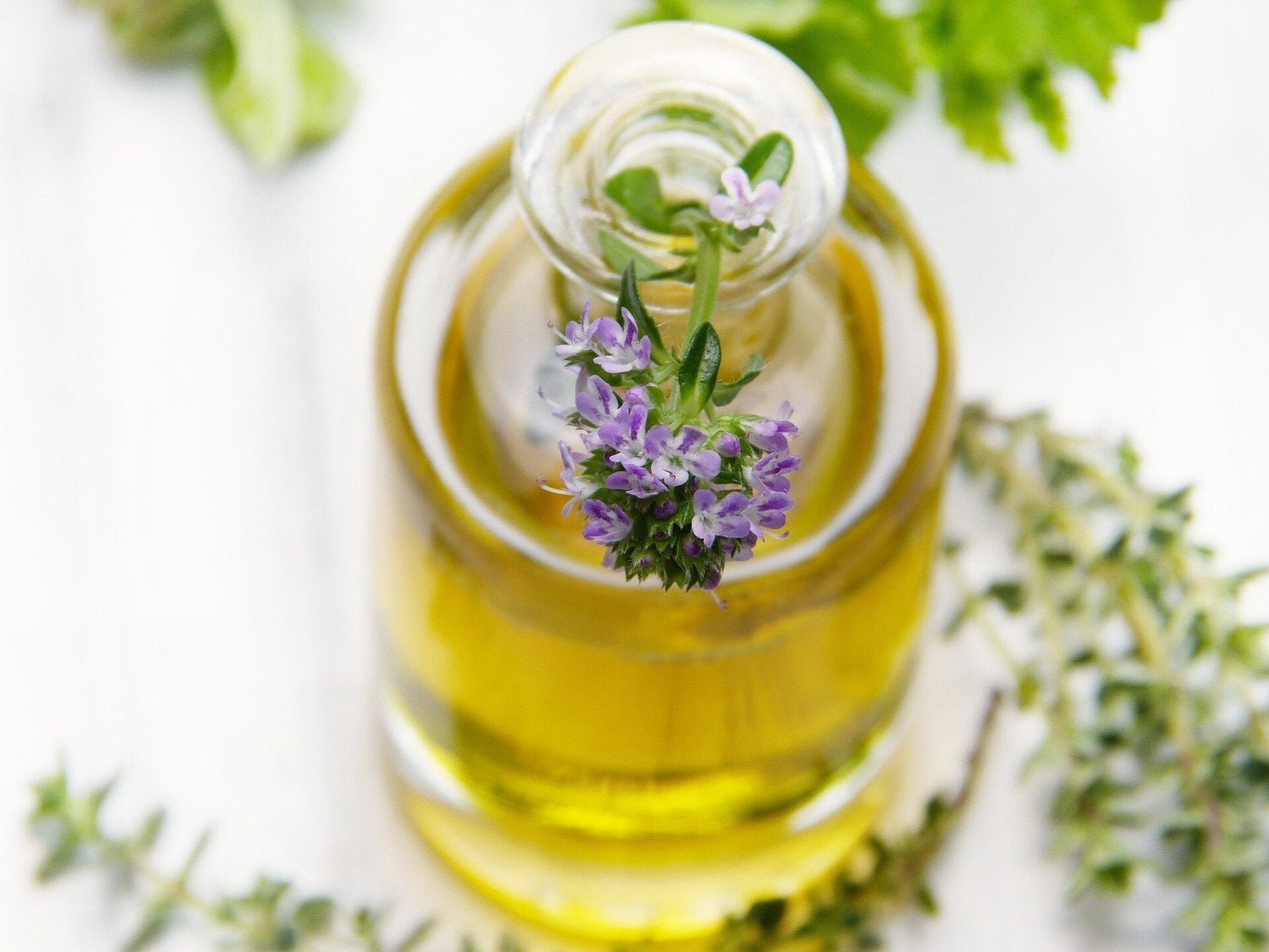 Using Indoor Essential Oils for Mold: The Benefits of Thyme Oil
