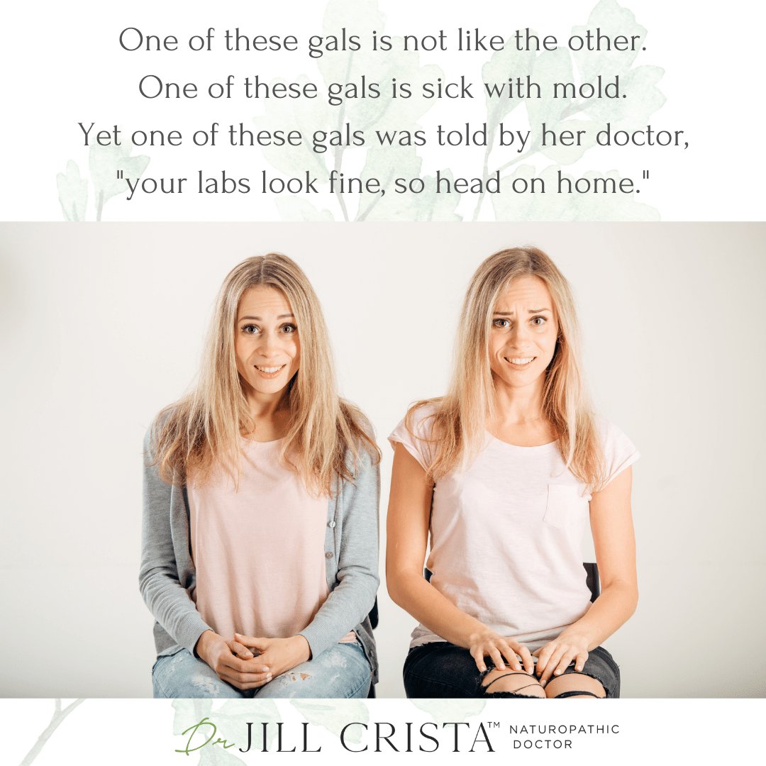 Mold-Related Illness Is Often Missed