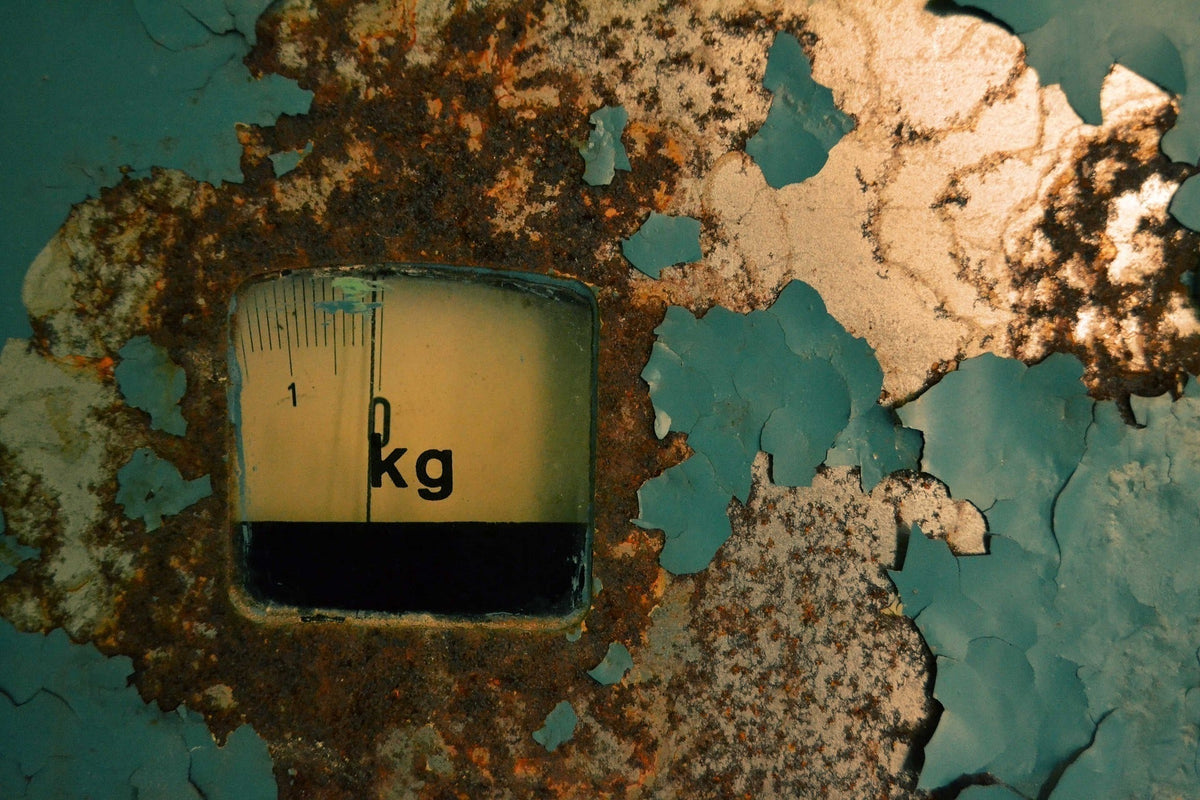 The Correlation Between House Mold and Weight Gain