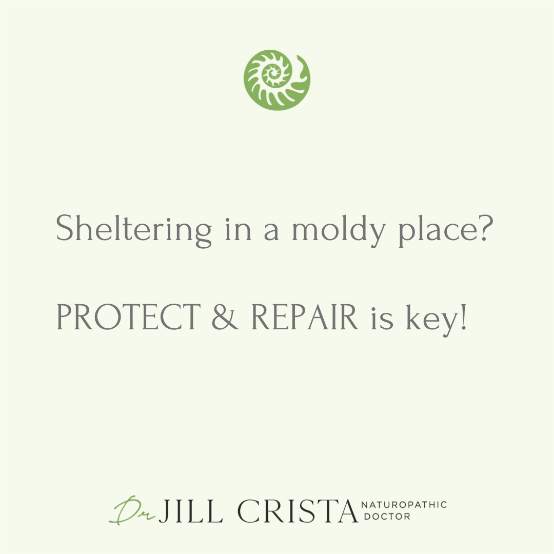 Living in a Moldy Place? Protective Nutrients