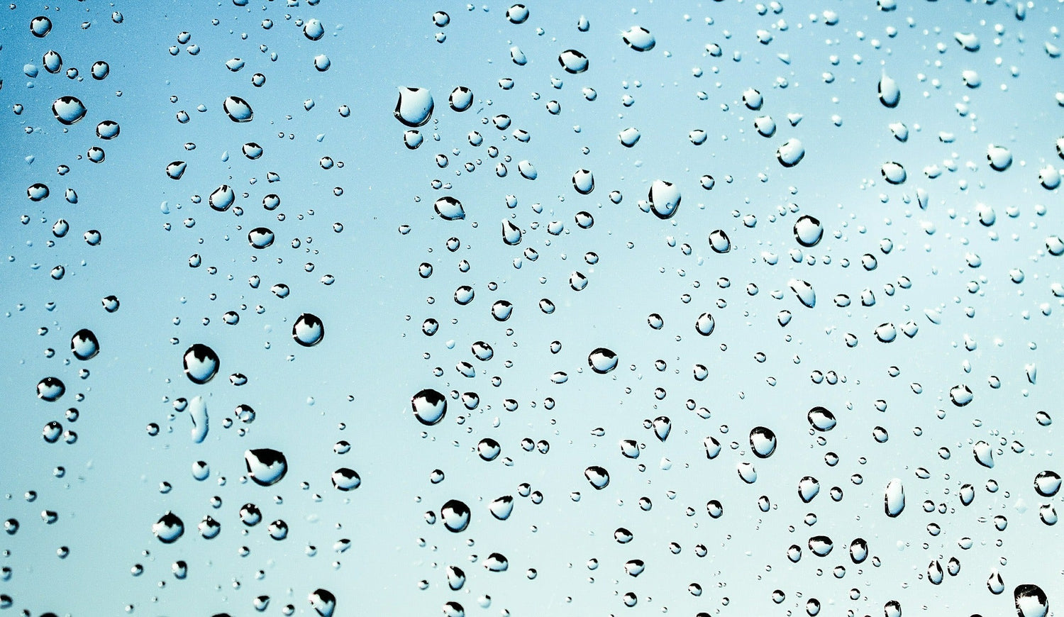 Avoid Indoor Humidity To Prevent Mold