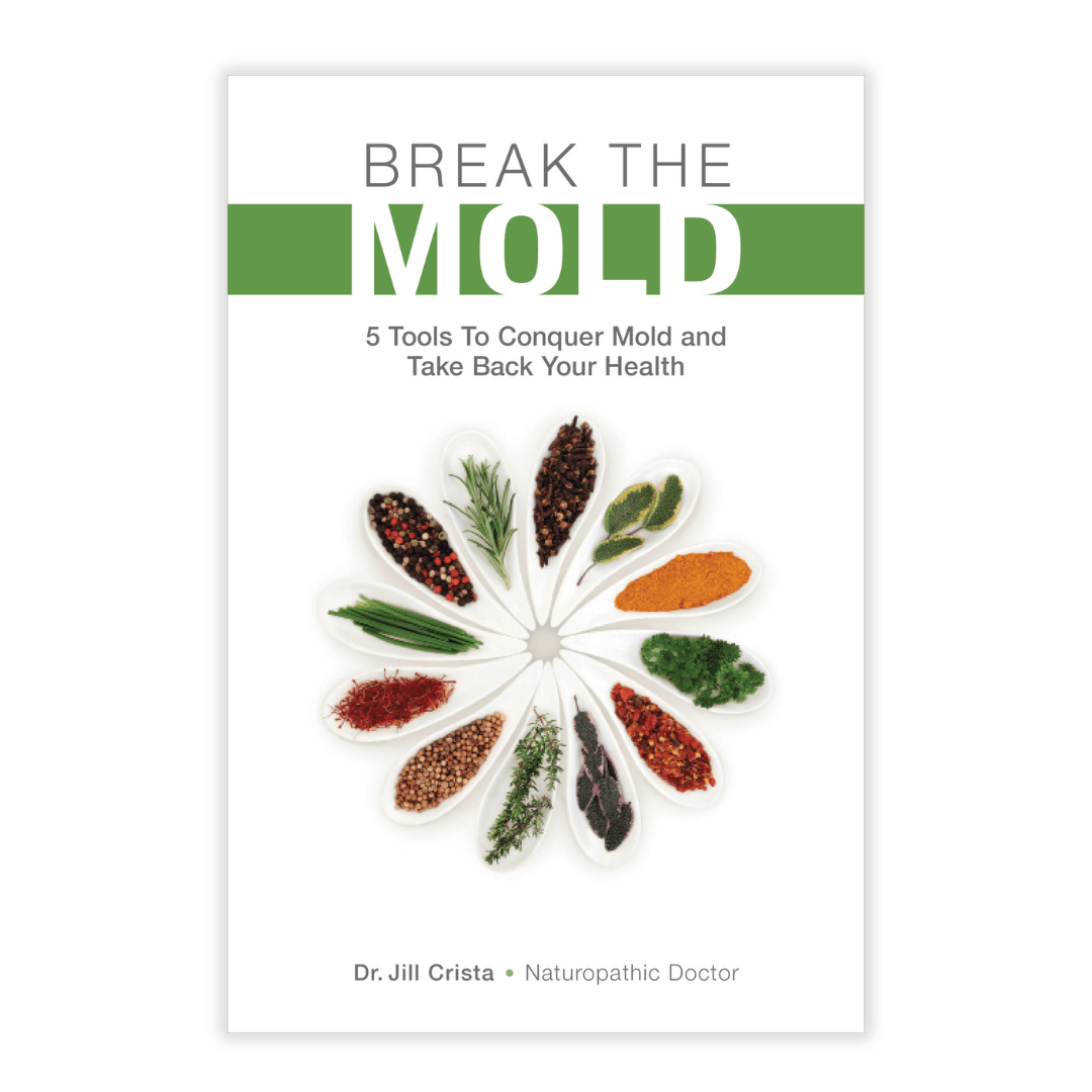 Break The Mold Book