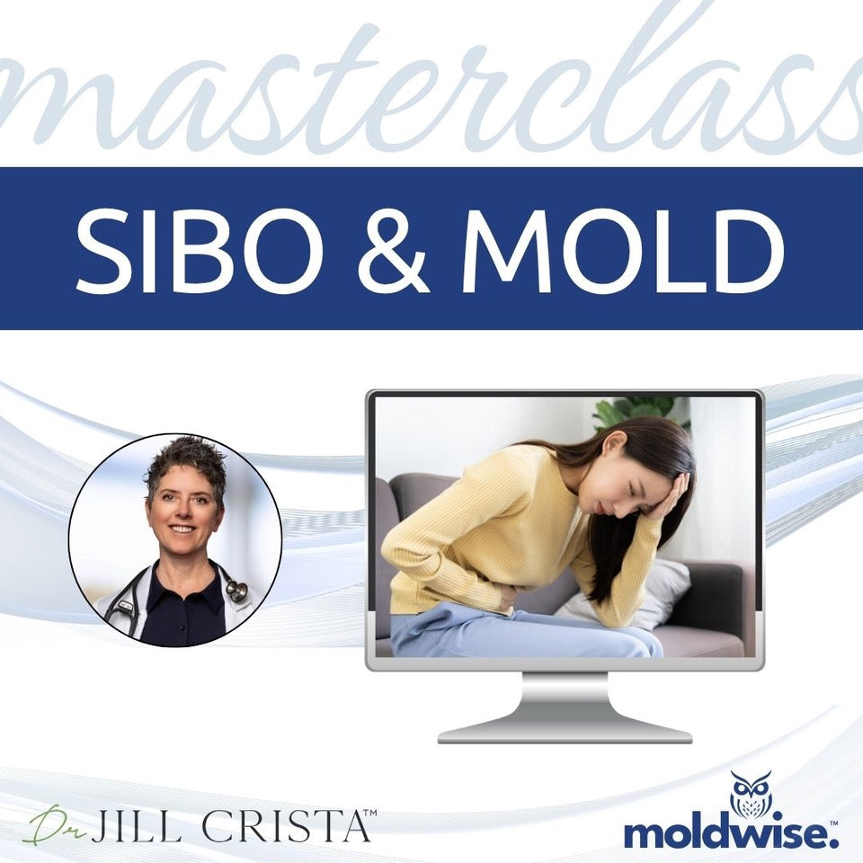Advertisement for a masterclass on SIBO & MOLD with a computer screen showing a woman lying down, a doctor's portrait, and Moldwise logo.