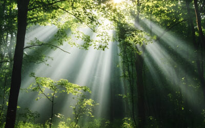 Is Biofilm Blocking Your Mold Recovery Progress?