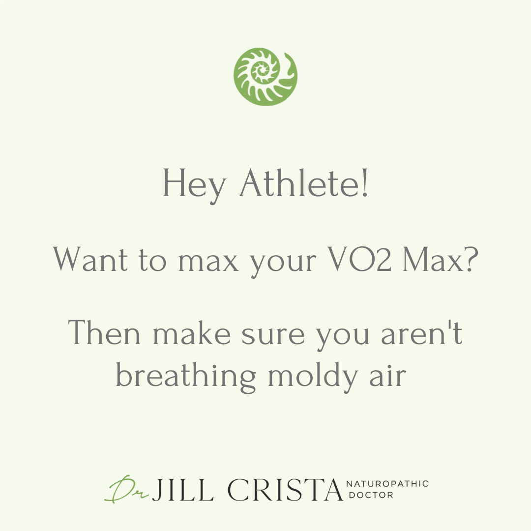 VO2 Max for Athletes: Overcoming Mold to Reach Your Fitness Goals