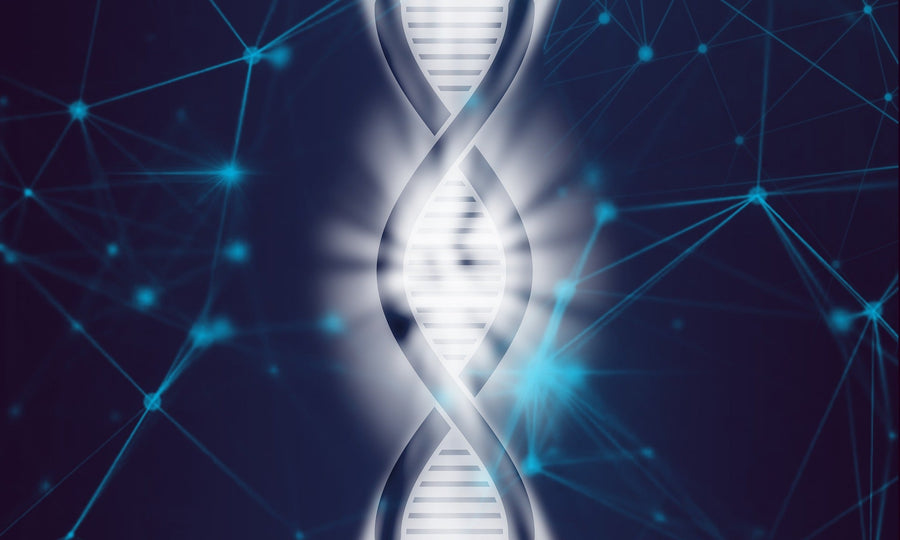 Mold Mycotoxins and Gene Damage: How to Protect Yourself