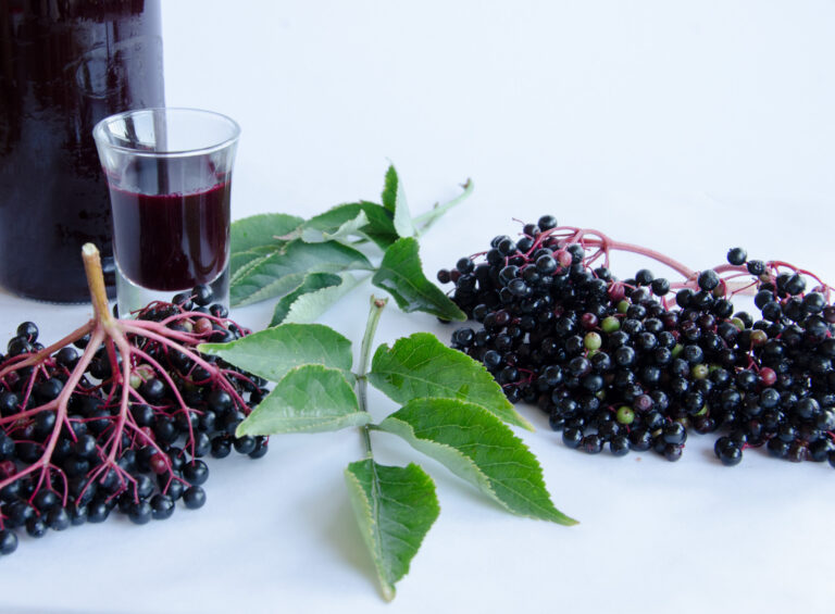 Homemade Elderberry Cordial: Easy DIY Remedy for Cold & Flu