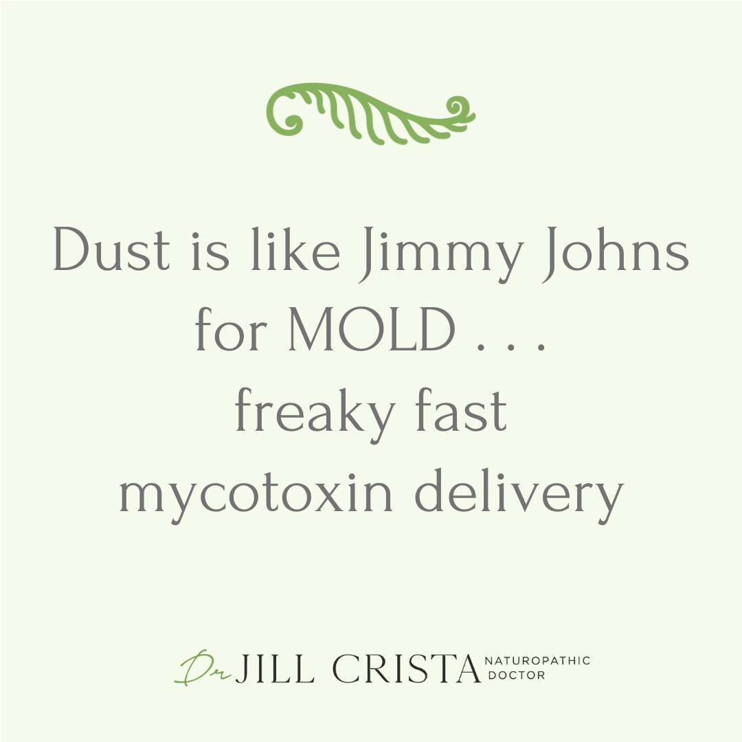 Don’t Let Dust Deliver Mycotoxins: Keep Your Home Clean for Better Health