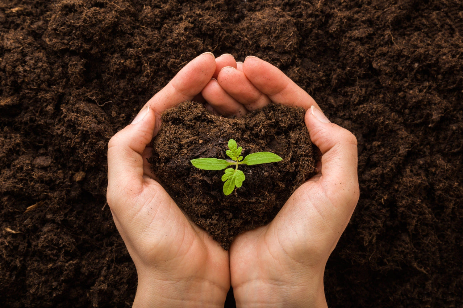 Don’t Forget The Nourishment Part of Detox