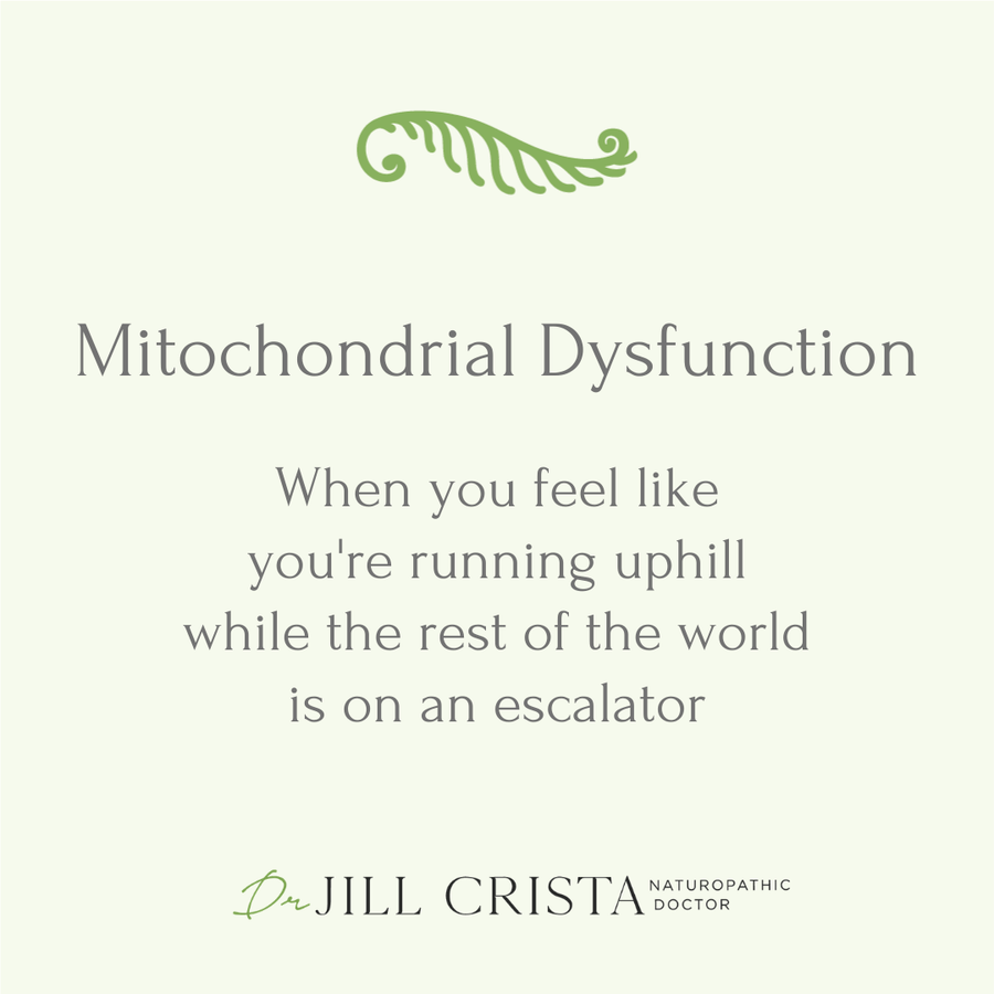 Chronic Fatigue: Feeling Like You’re Climbing Uphill While Others Ride the Escalator