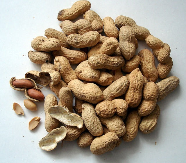 What If Mold Is The Cause Of Your Peanut Allergies?