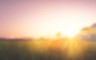 Unsung Heroes For Boosting Immunity