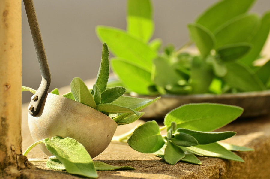 How to Use Sage Tea to Protect Against Mold