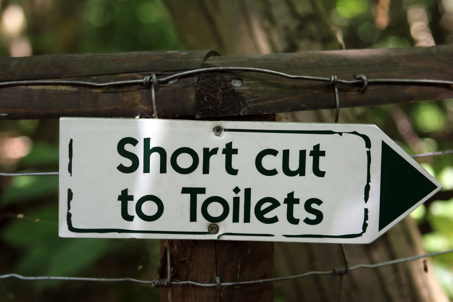 How Mold Can Cause Overactive Bladder