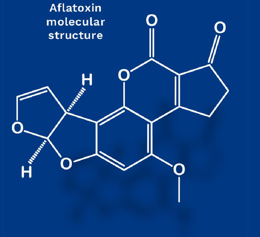 Aflatoxin molecular structure diagram on a blue background