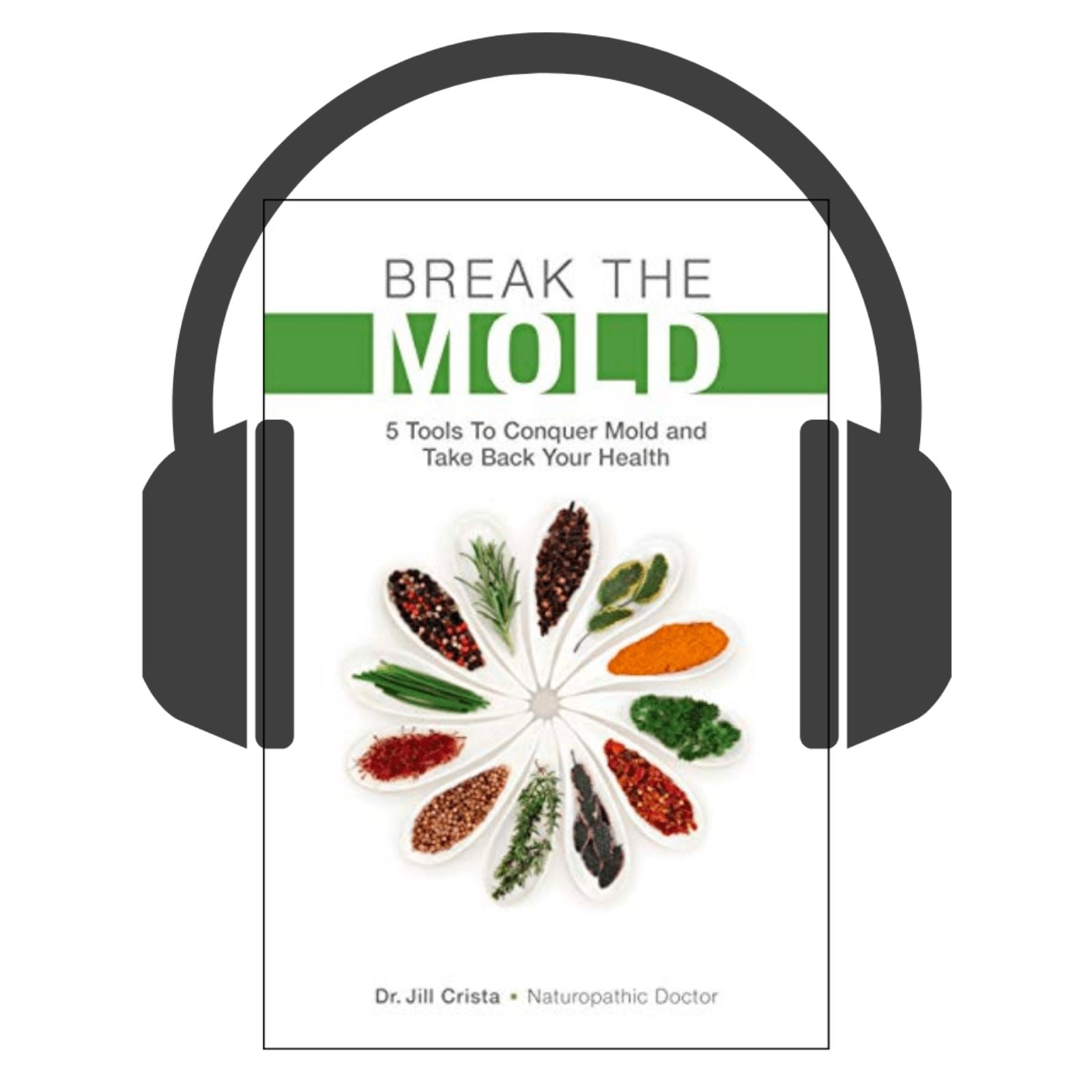 Book cover with headphones and title 'Break the Mold' on a white background