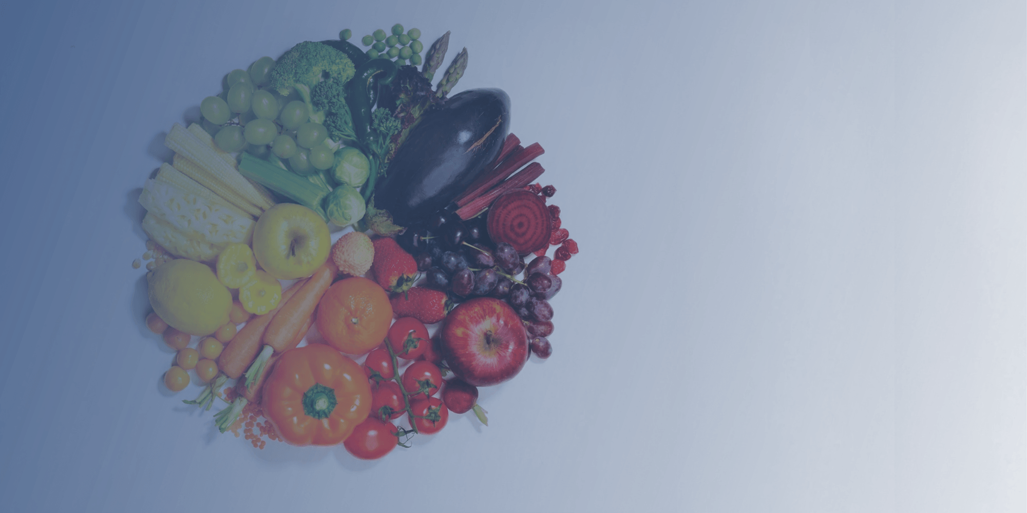 Want a free guide to eating for mold recovery?