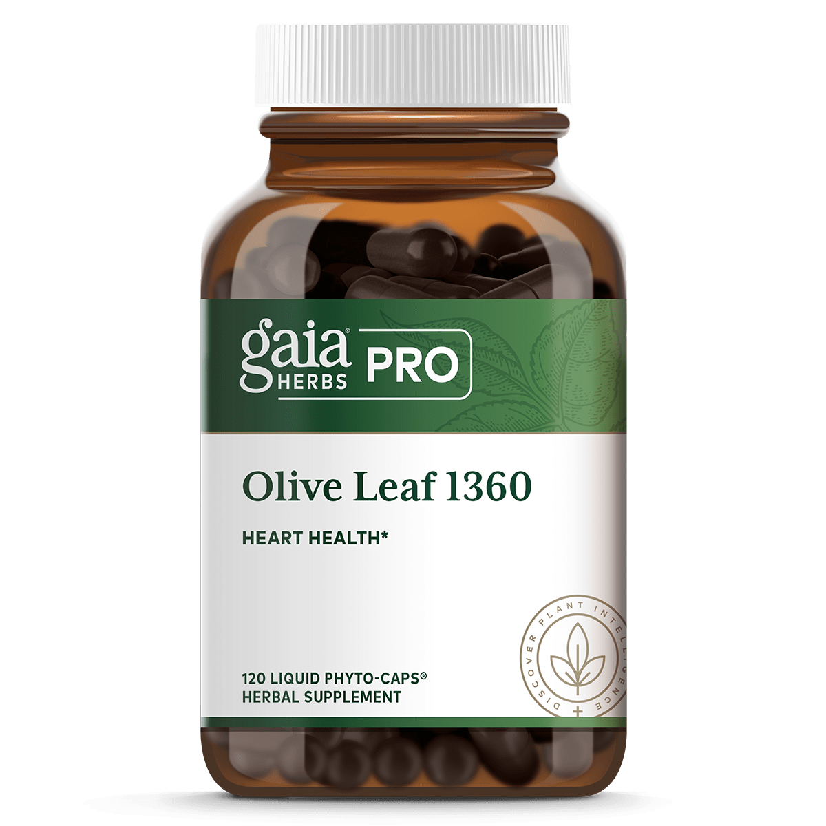 Olive Leaf