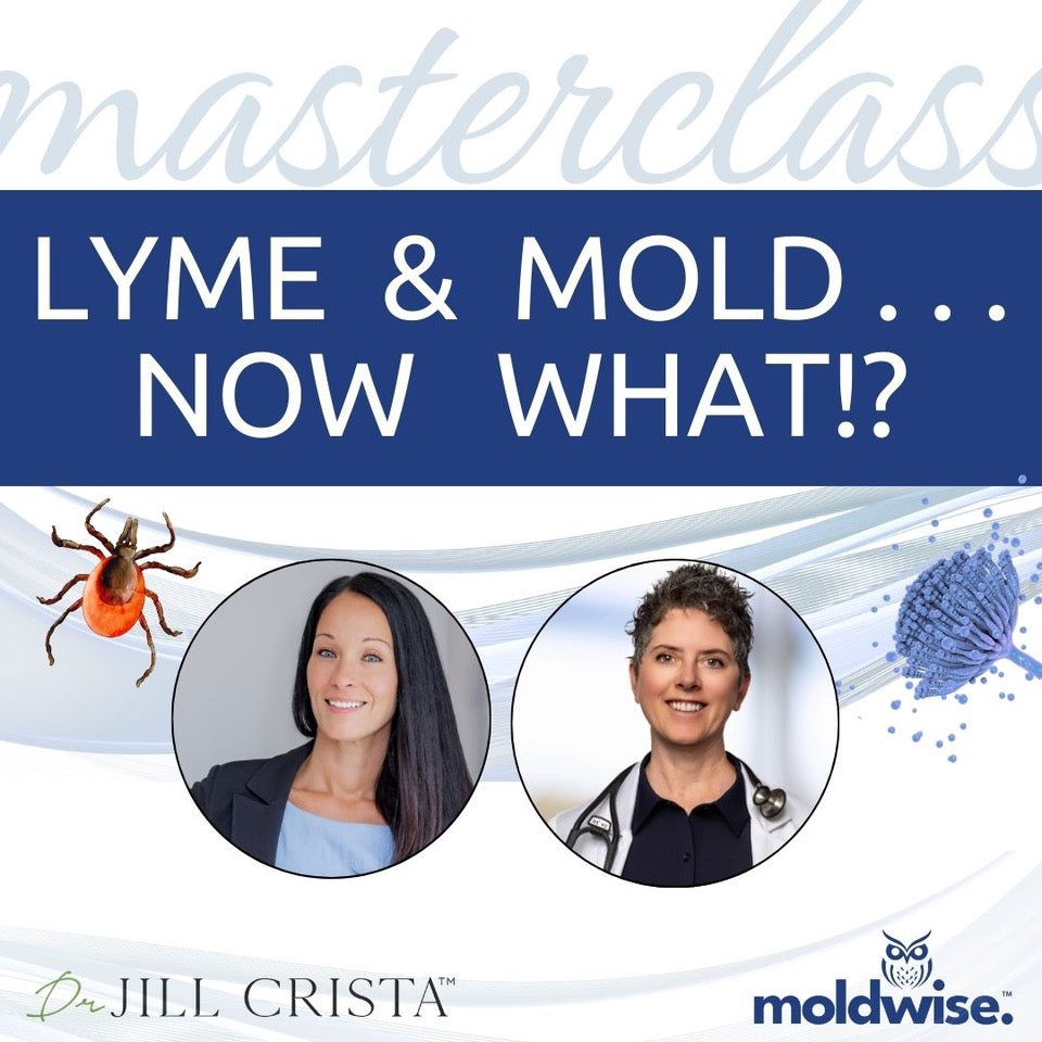Promotional graphic for a masterclass on Lyme and mold with two speakers and related imagery.