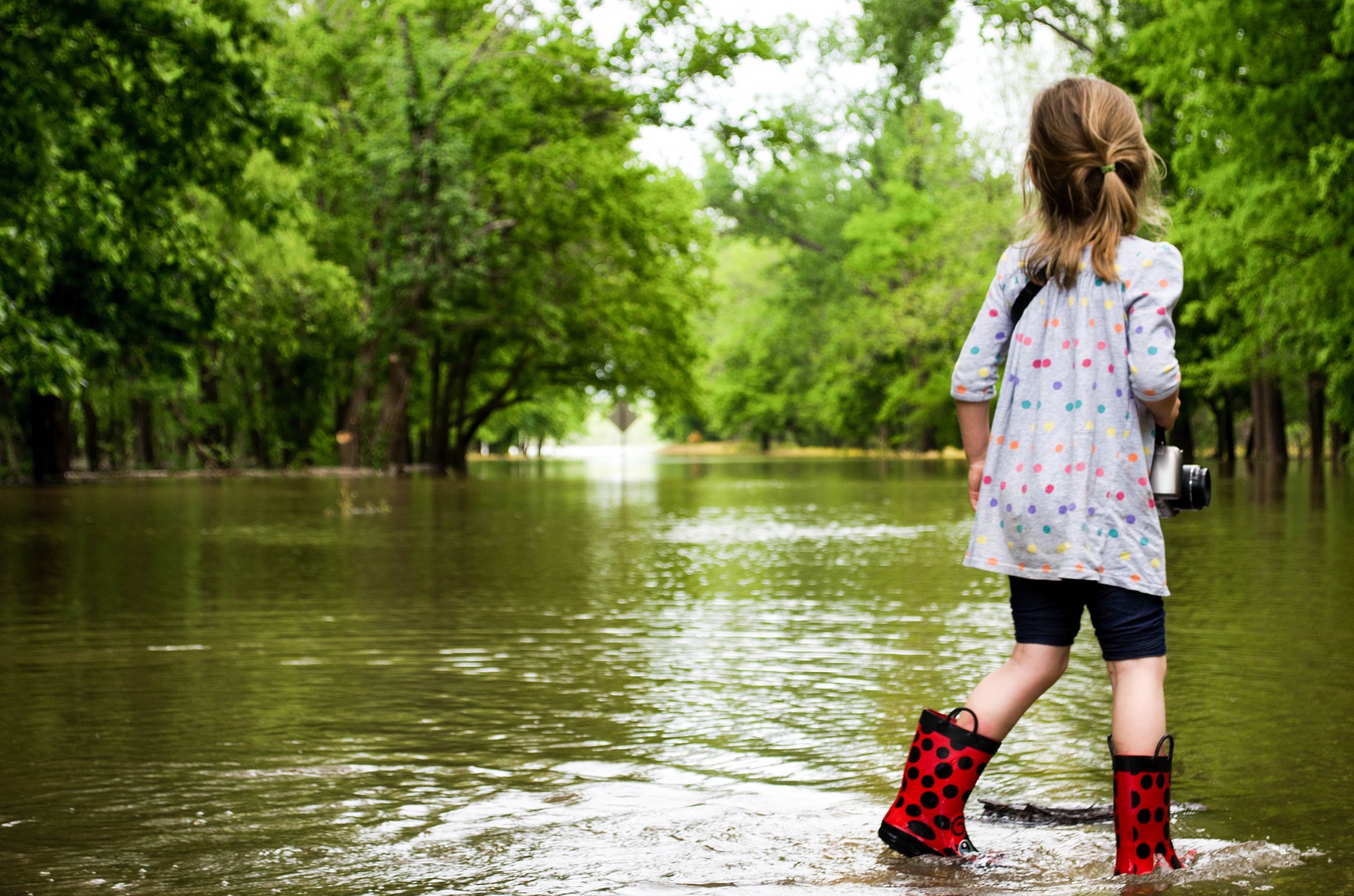 Got Mold? 5 Simple Steps To Protect From Mold – Hurricane Edition