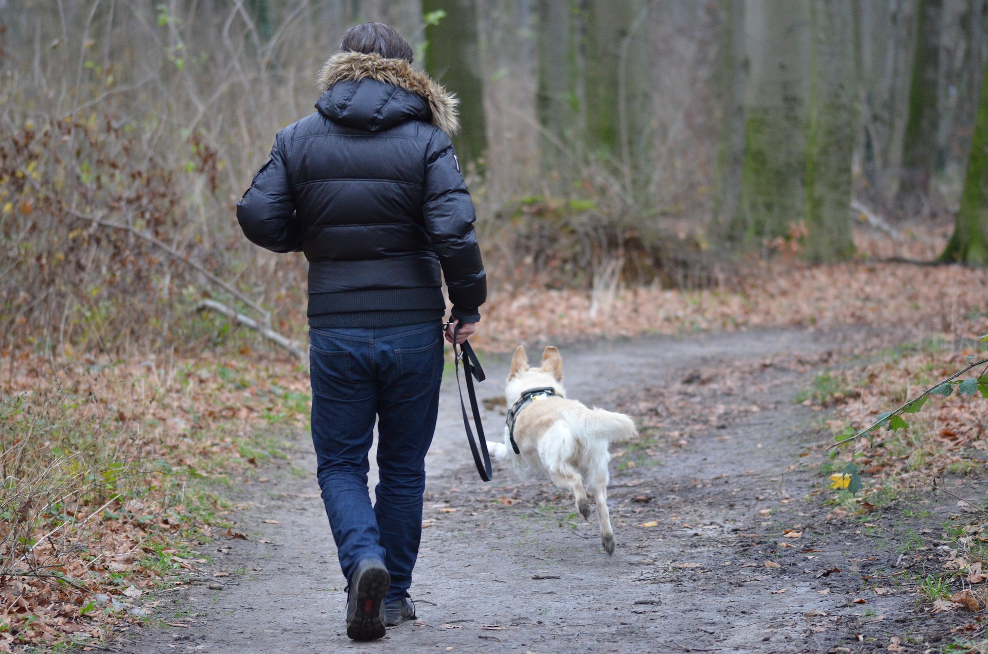 Got Mold? Dog Poisoned By Moldy Dog Food