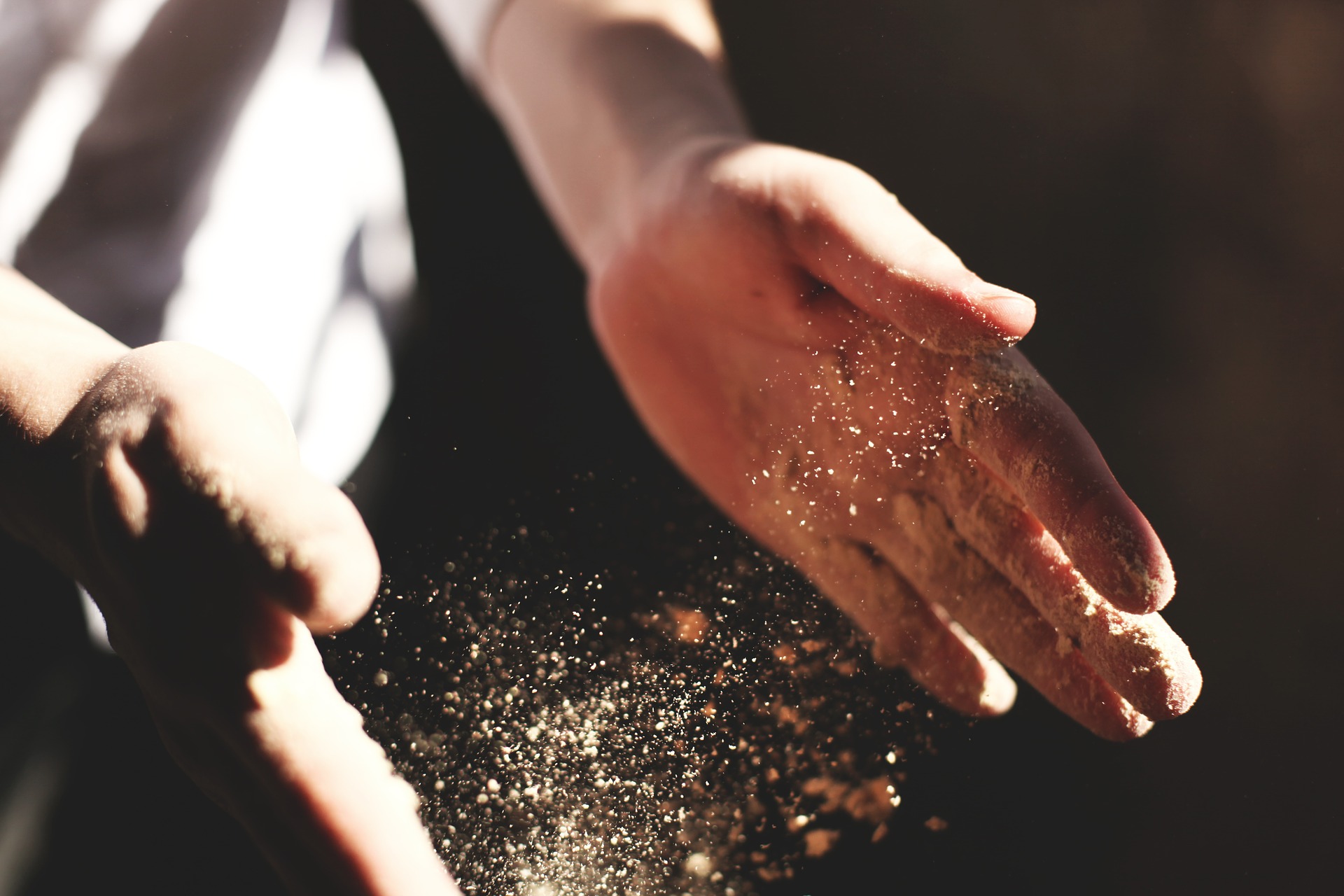 Got Mold? Which Do You Want To Clean Your Air? Your House Filter? Or Your Lungs?