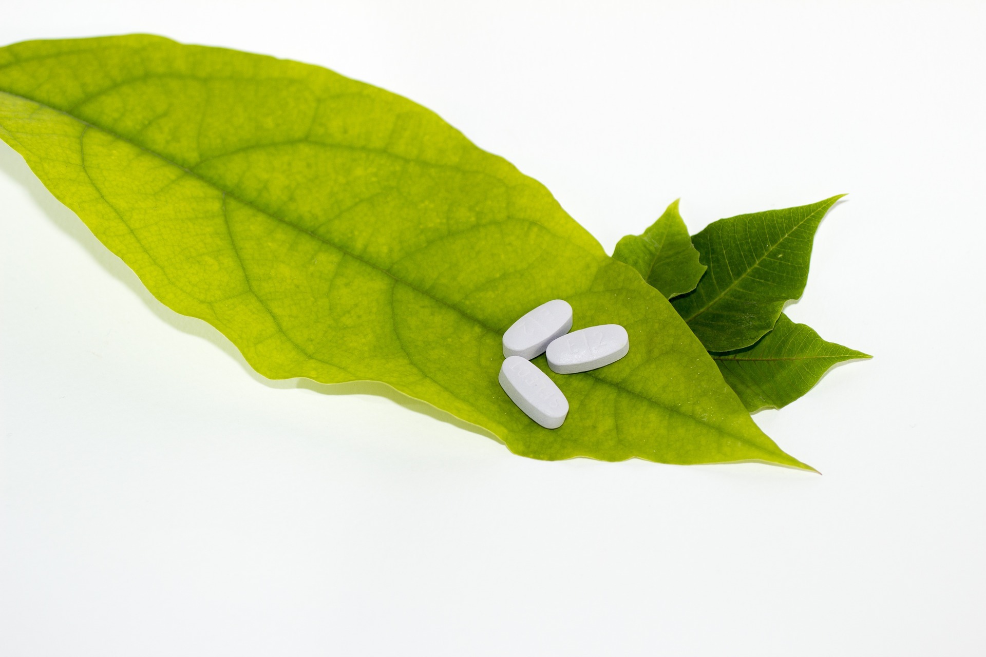 Which Probiotic Should Moldies Avoid?