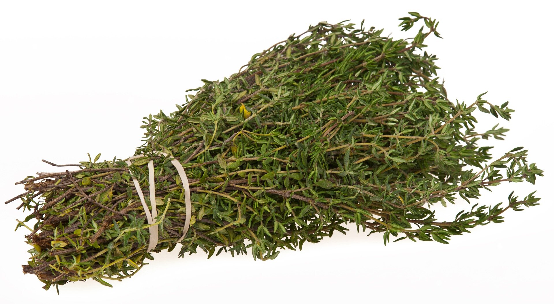 Thyme Steam Inhalation