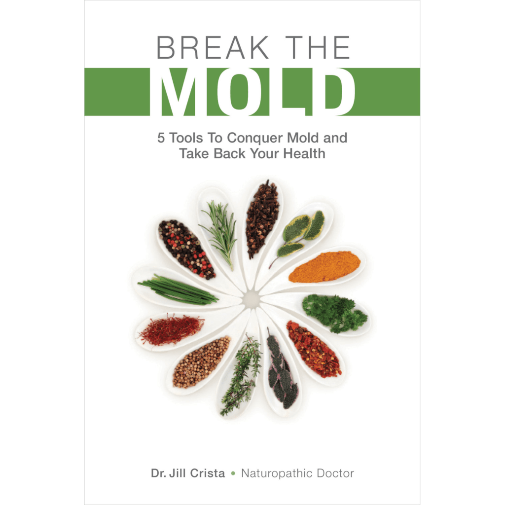 Break The Mold Book by Dr. Crista