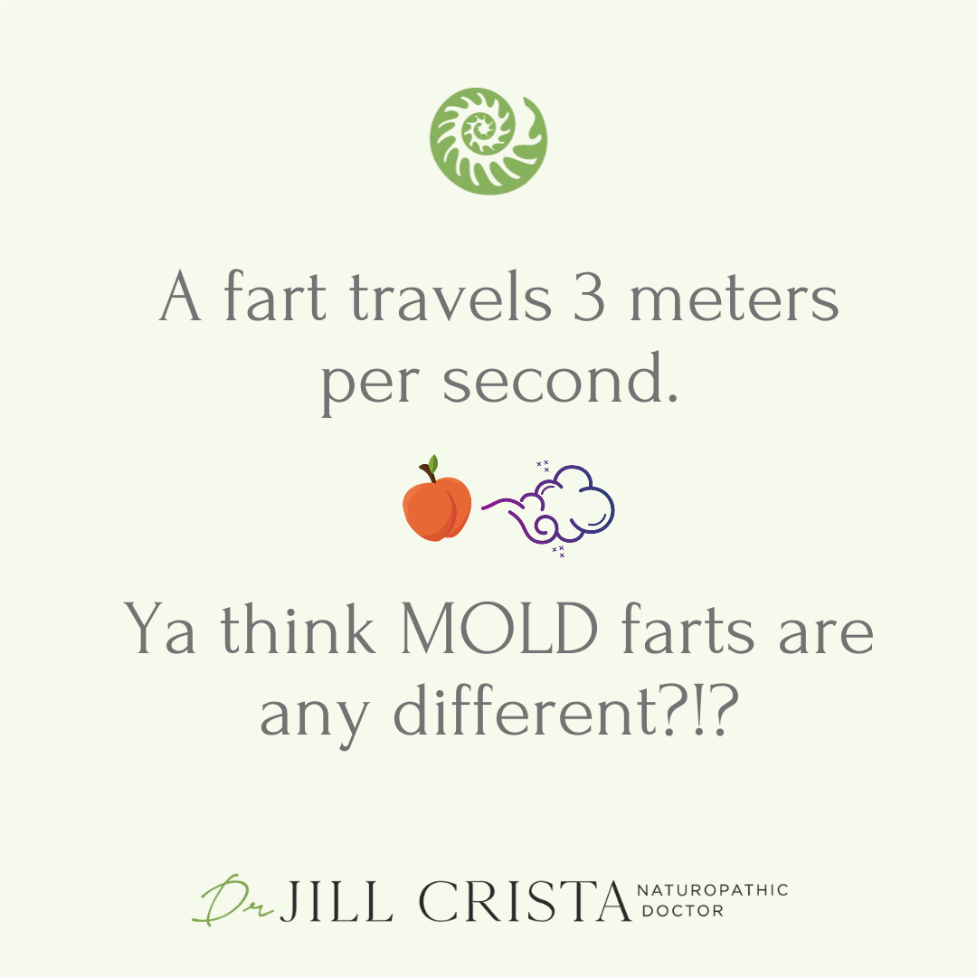 A fart travels 3 meters per second.