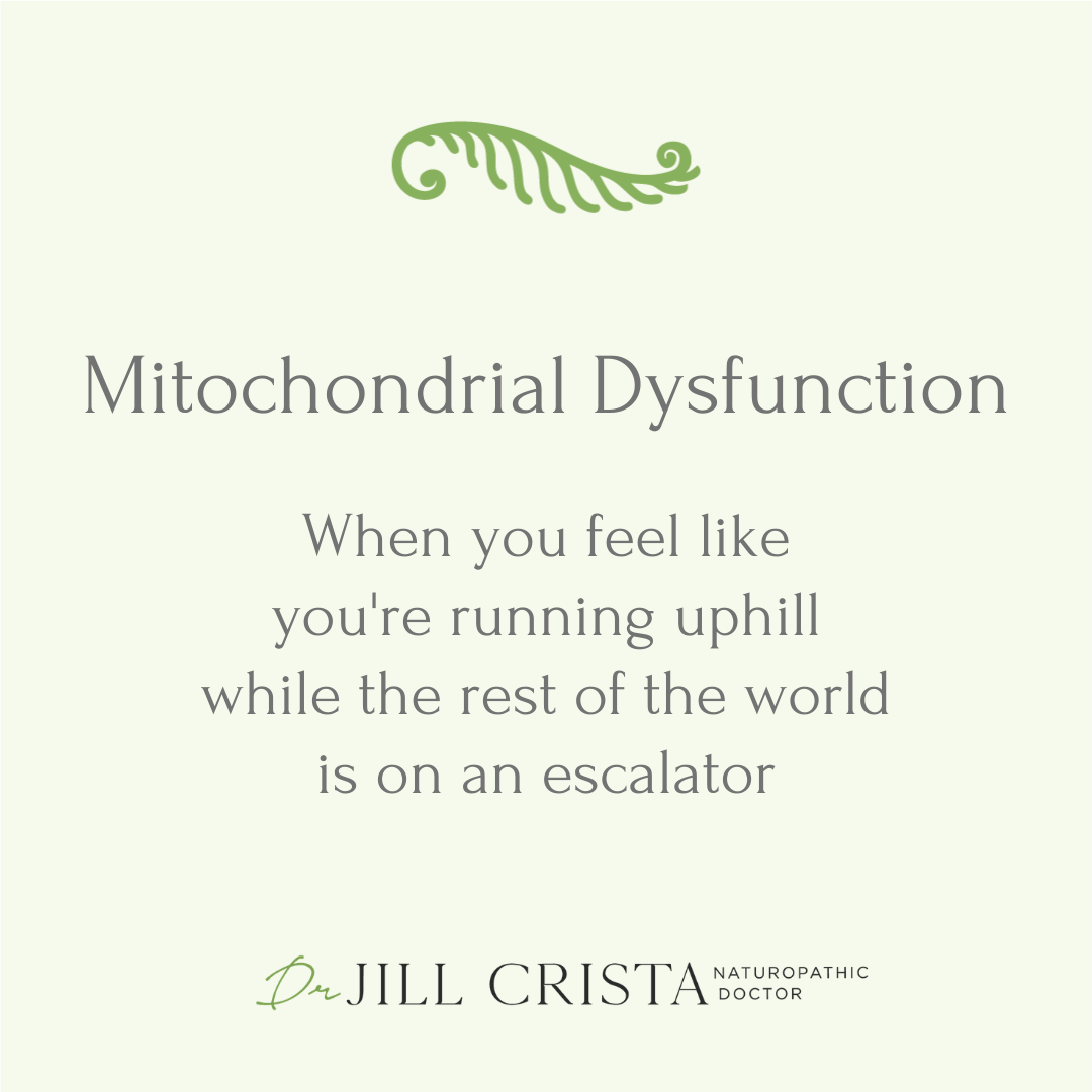 Mitochondrial Dysfunction