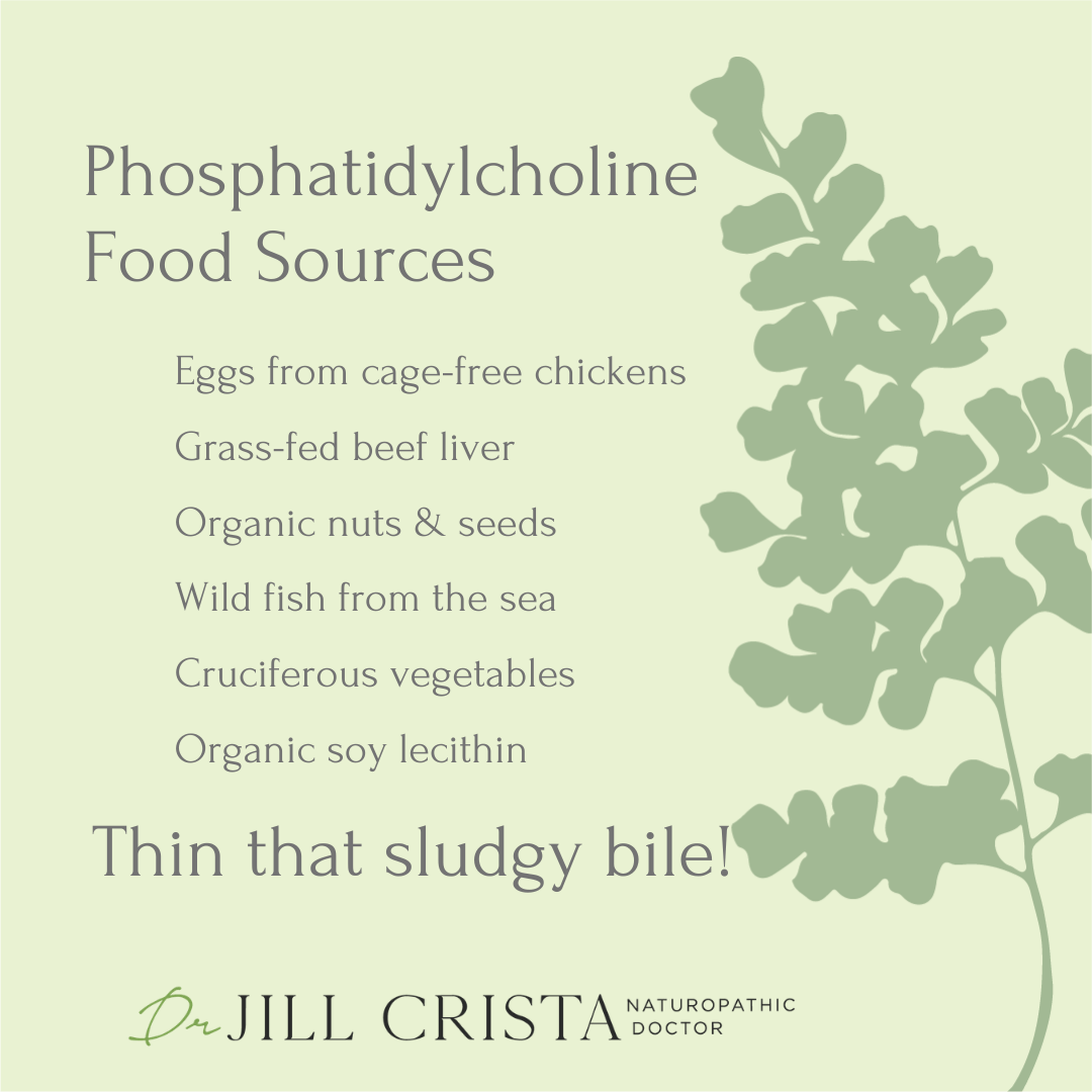 Phosphatidylcholine food sources