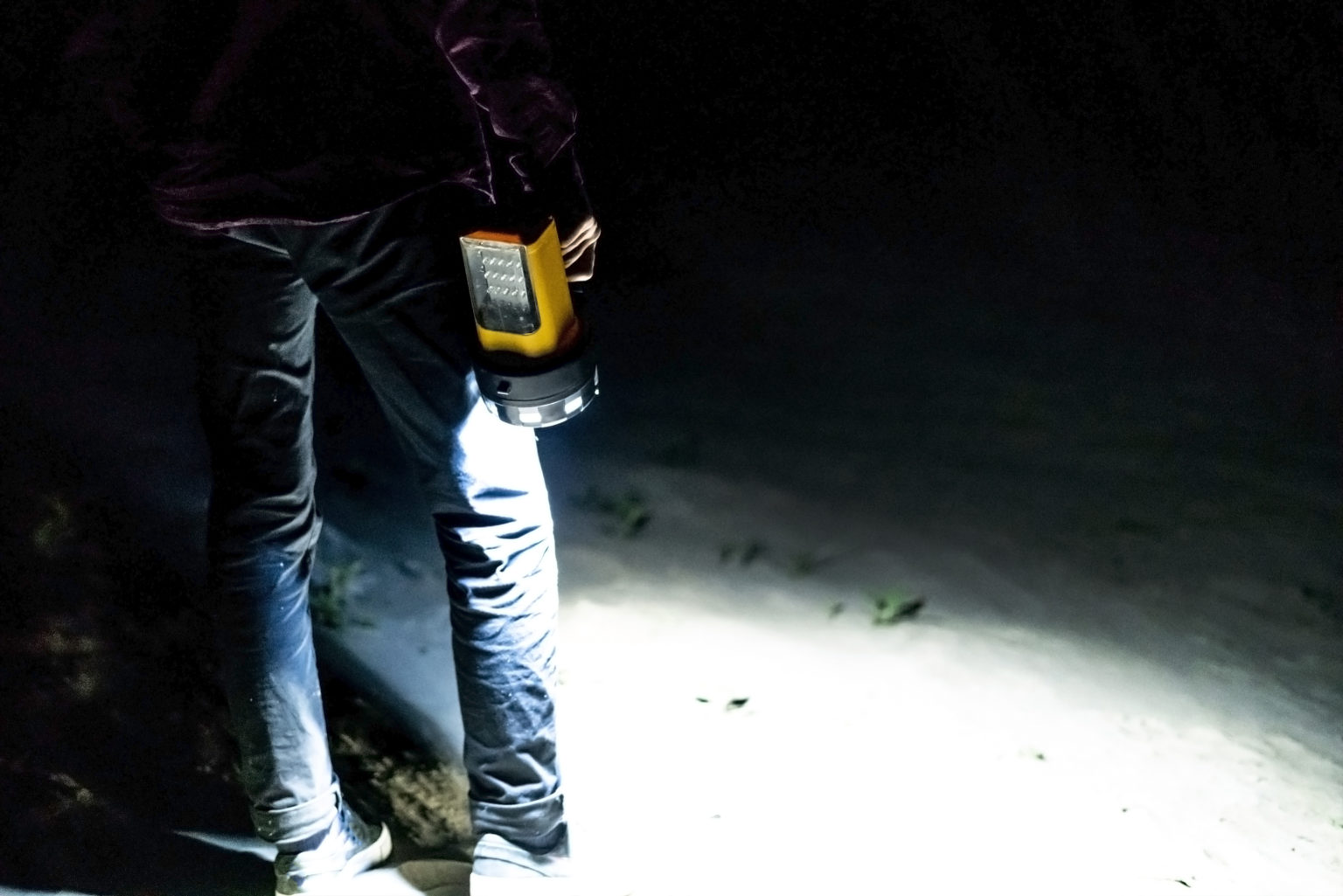 Conquer Mold One Step At A Time - Dr. Crista
