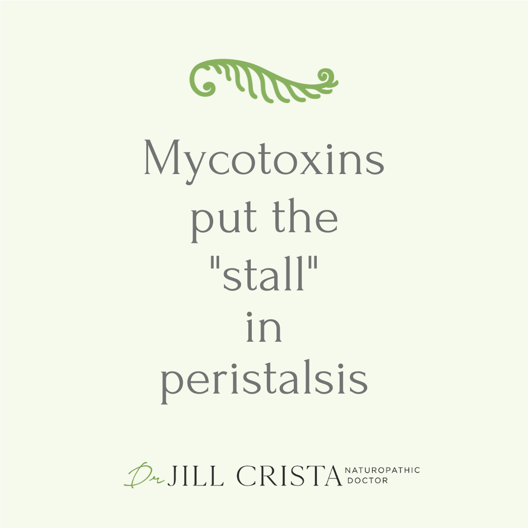 Mycotoxins put the “stall” in peristalsis