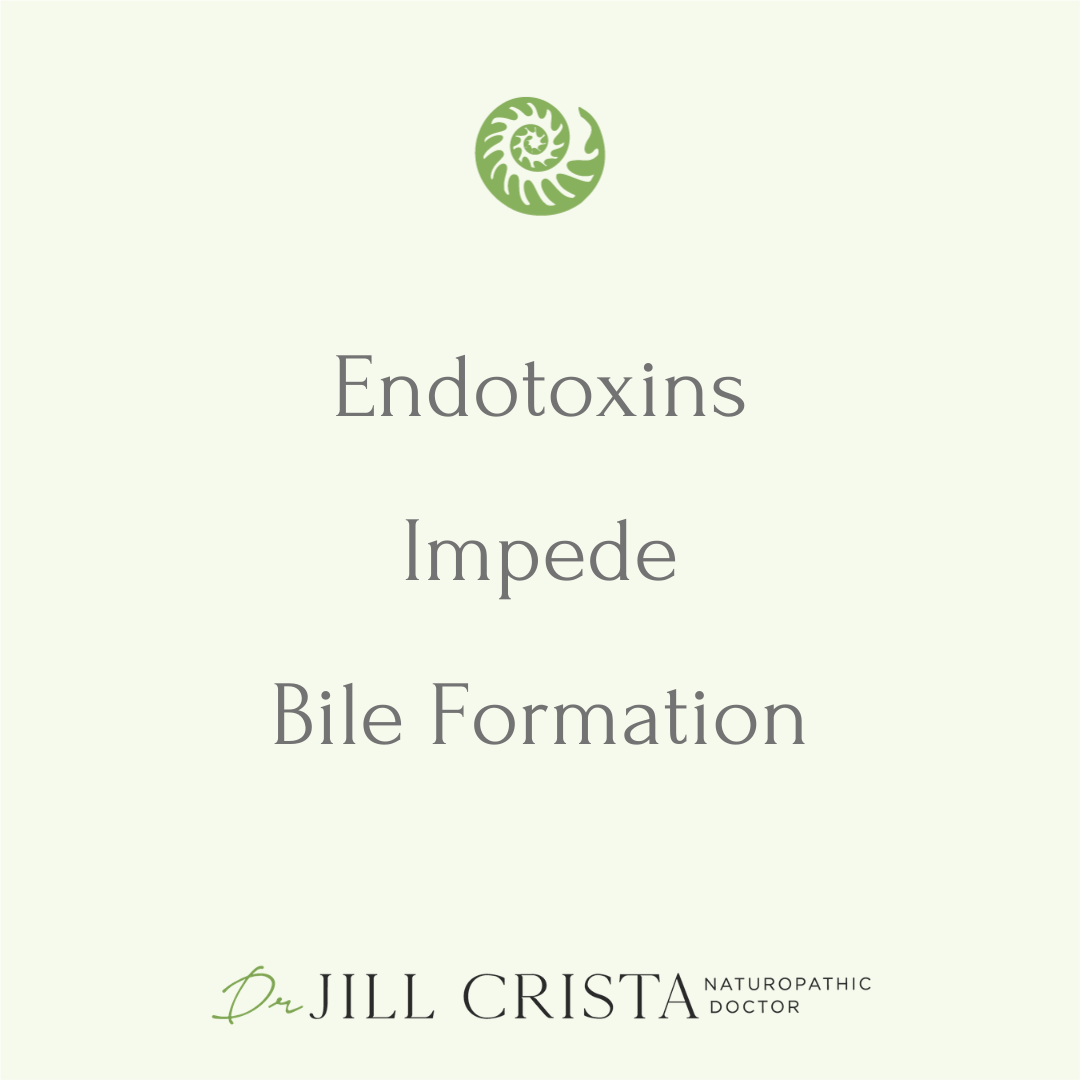 Endotoxins impede bile formation