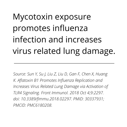 Mold myth influenza